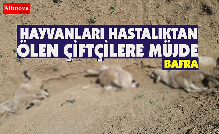 HAYVANLARI HASTALIKTAN ÖLEN ÇİFTÇİLERE MÜJDE