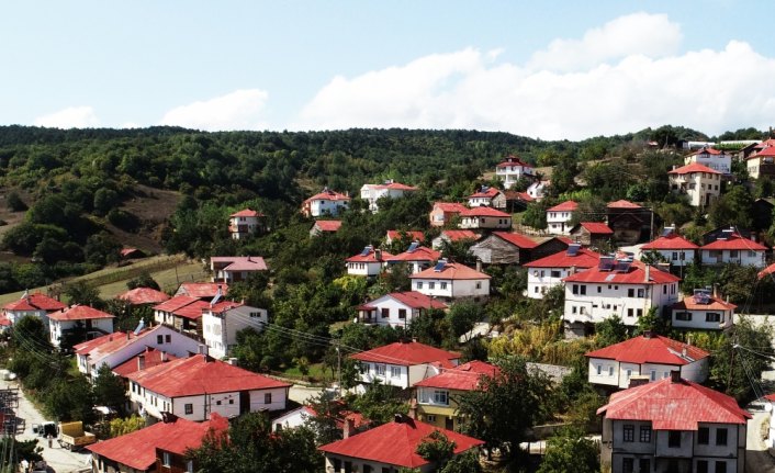 Karadeniz'in doğasını ve mimarisini koruyan mahalle: Yeşilce