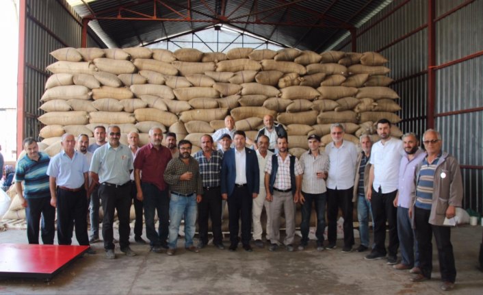 Milletvekili Tunç, fındık alım merkezini ziyaret etti