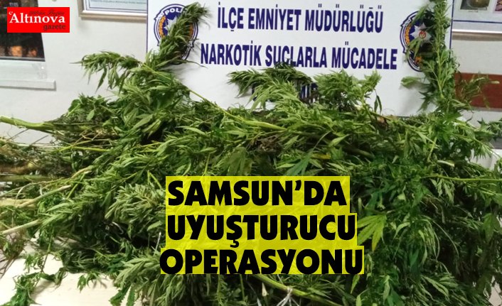 Samsun'da uyuşturucu operasyonu