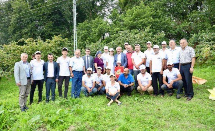 Sigortalı fındık işçileri olumlu sonuç verdi