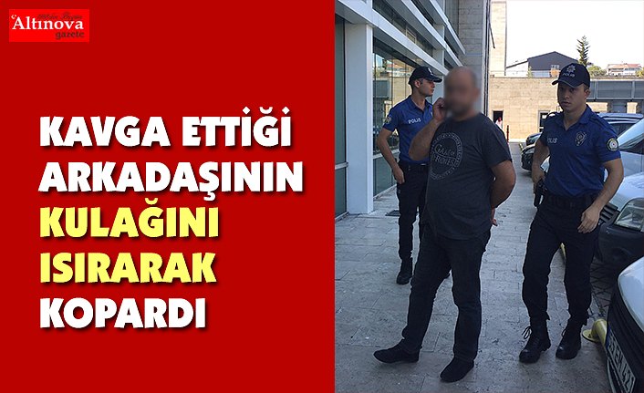 Tartıştığı kişi kulağının bir bölümünü ısırarak kopardı