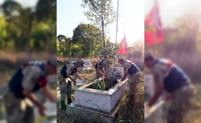 Vezirköprü jandarmadan şehit mezarına bakım