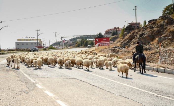 Yaylacılar dönüş yolculuğuna başladı