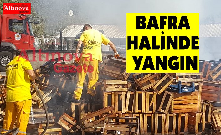 BAFRA MEYVE SEBZE HALİNDE YANGIN