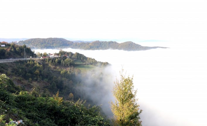 Bolu Dağı'nda sis güzel görüntüler oluşturdu