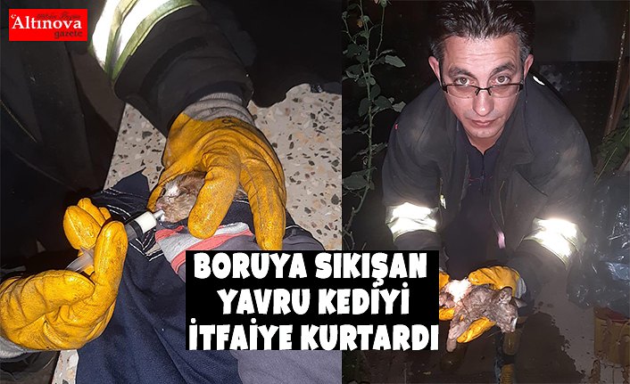 Boruya sıkışan yavru kediyi itfaiye kurtardı