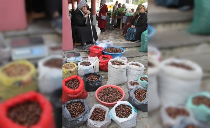 Bozkurt halkı kestaneden yılda 2 milyon lira kazanıyor