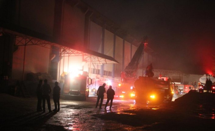 Giresun'da fındık fabrikasında yangın