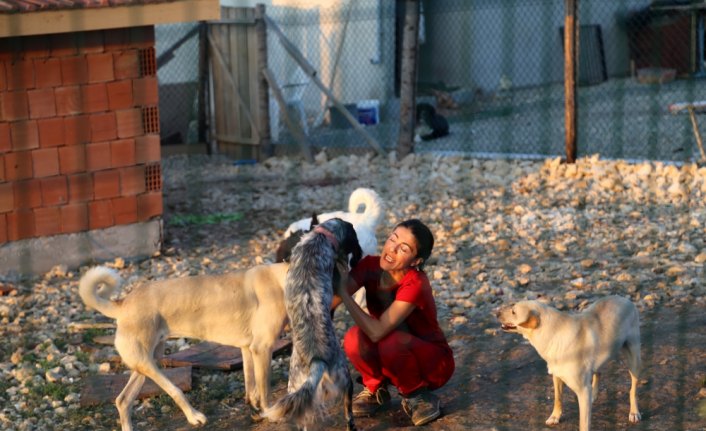 Köpeklerin mutlu olduğu köy