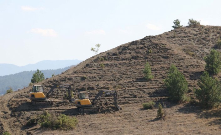 Mudurnu'da 5 bin fidan toprakla buluşacak