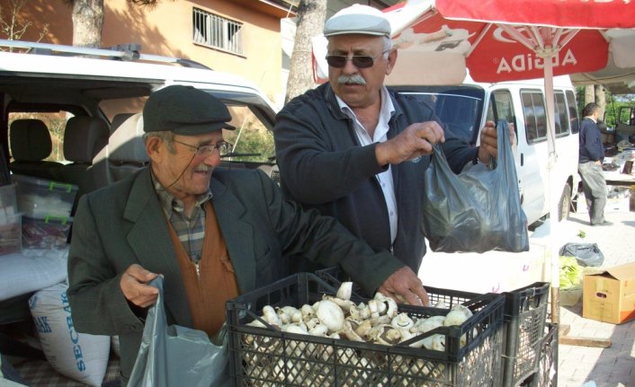 Vatandaşlara zehirli mantar uyarısı