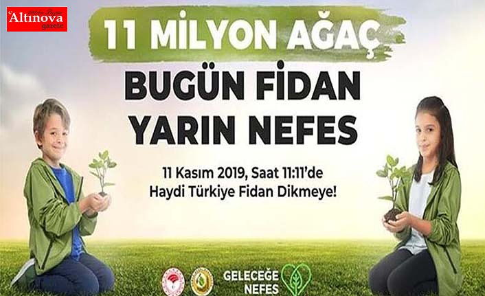 BAFRA 11 MİLYON AĞAÇ İÇİN BULUŞUYOR