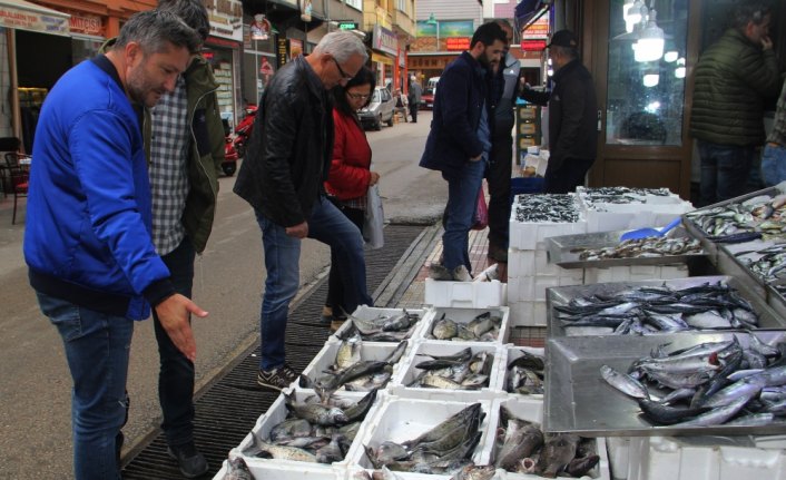 Balıkçı tezgahları karagöz, eşkina ve minekop ile şenlendi