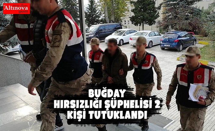 Buğday hırsızlığı şüphelisi 2 kişi tutuklandı