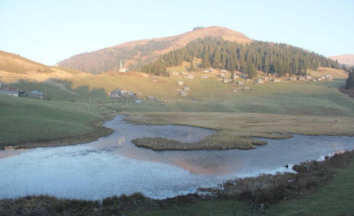 Giresun'daki Gölyanı Obası için 