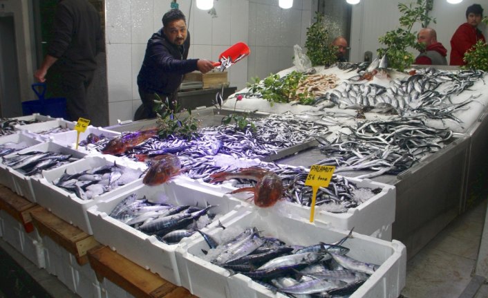 Karadeniz'de hamsi bolluğu yüz güldürüyor