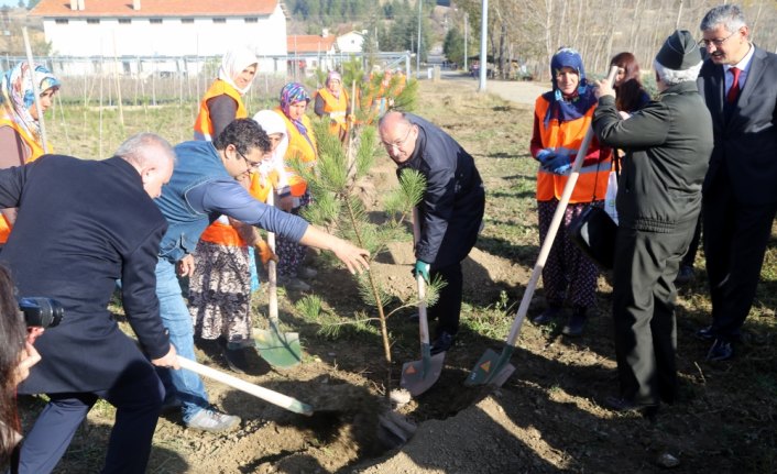 Kastamonu 11 Kasım'daki ağaçlandırma seferberliğine hazır