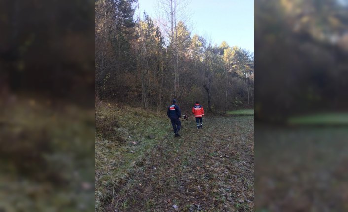 Kastamonu'da 65 gündür kayıp engelli kadın aranıyor