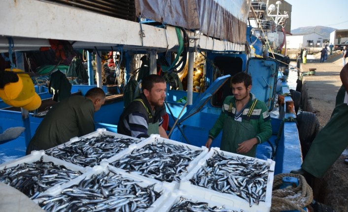 Kastamonu'da Karadeniz'e açılan balıkçılar tonlarca hamsiyle döndü