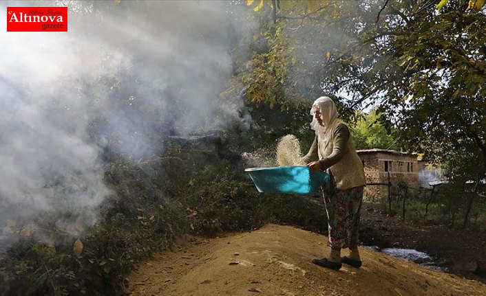 Kursunç pirinci 150 yıllık değirmende öğütülüyor