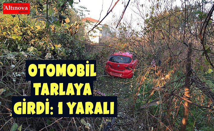 Otomobil tarlaya girdi: 1 yaralı