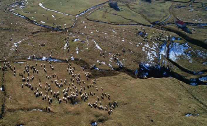 Tarihi Sürmene-Bayburt kervan yolunda sonbahar güzelliği