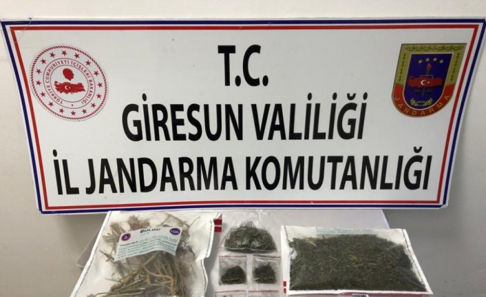 Giresun'da uyuşturucu operasyonunda 2 şüpheli yakalandı