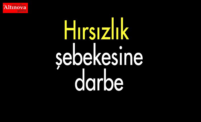 Hırsızlık şebekesine darbe