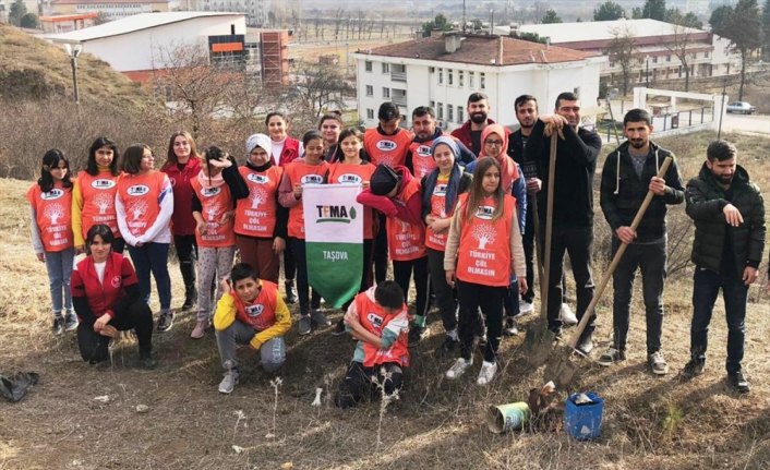 Taşova'da fidan dikme etkinliği