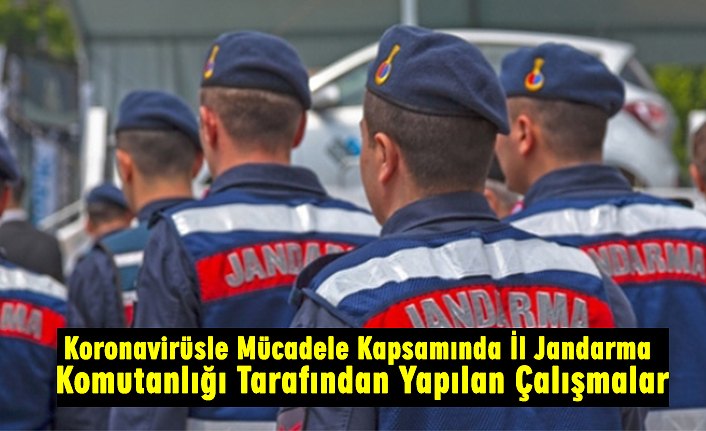 Koronavirüsle Mücadele Kapsamında İl Jandarma Komutanlığı Tarafından Yapılan Çalışmalar