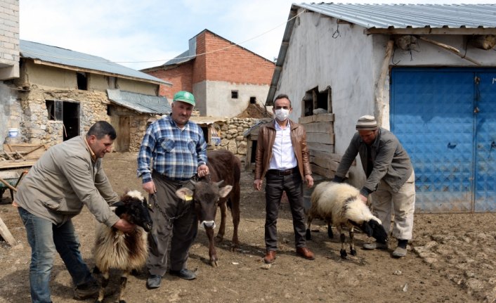 Tokatlı çiftçi 2 koyun ve düvesini Milli Dayanışma Kampanyası'na bağışladı