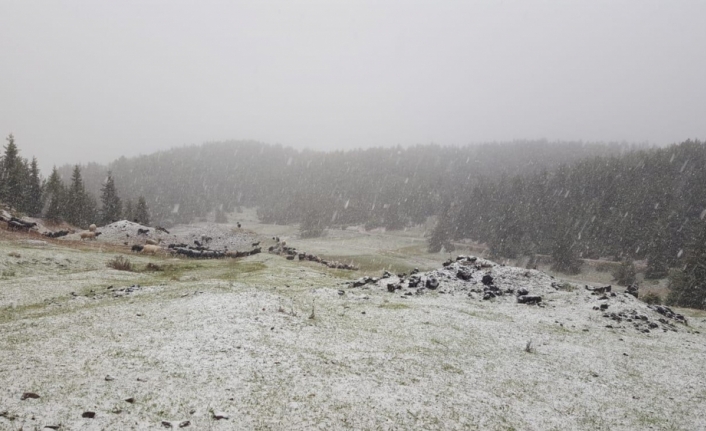 Artvin'de yüksek kesimler beyaza büründü