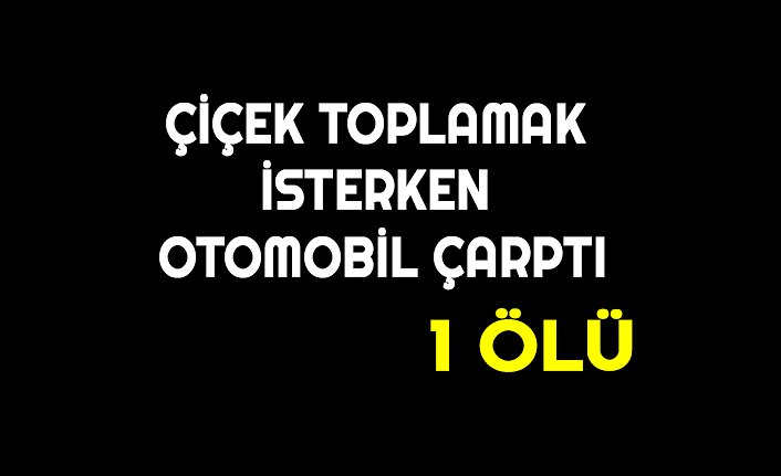 ÇİÇEK TOPLAMAK İSTERKEN OTOMOBİL ÇARPTI