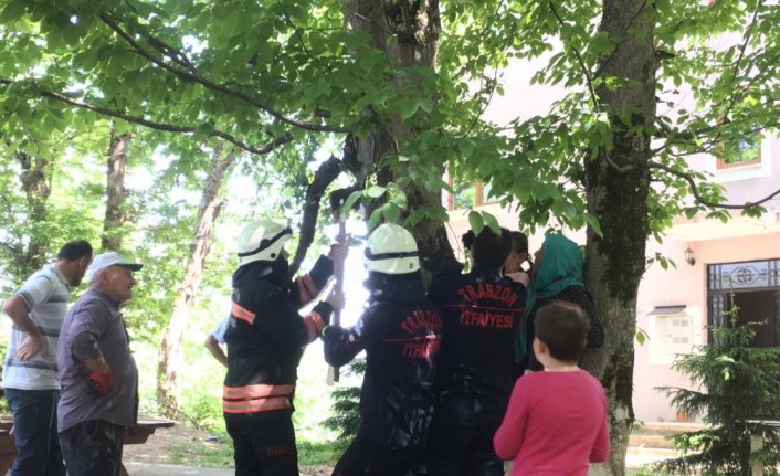 Evinin bahçesinde oynarken bacağı ağacın gövdesine sıkışan kız çocuğu kurtarıldı