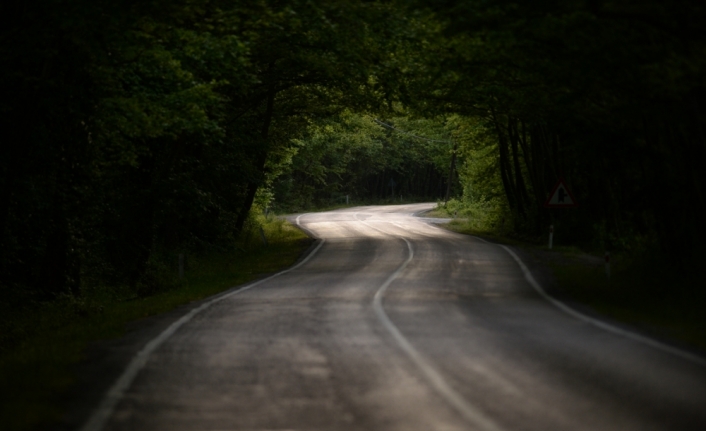 Safranbolu'nun ağaç tünelli yolu 