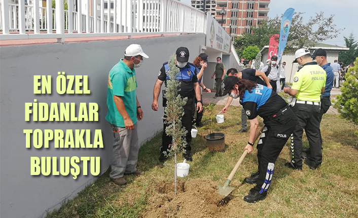 EN ÖZEL FİDANLAR TOPRAKLA BULUŞTU