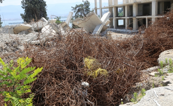 Ordu'da deniz kenarında kaçak yapılan yüksek binalar tamamen yıkıldı