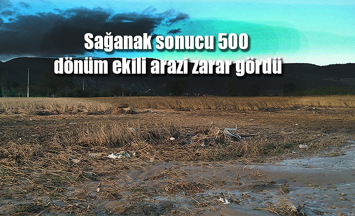 Sağanak sonucu 500 dönüm ekili arazi zarar gördü