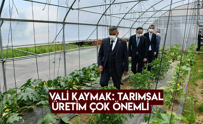 VALİ KAYMAK: TARIMSAL ÜRETİM ÇOK ÖNEMLİ