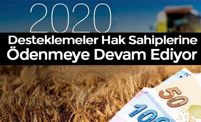 Desteklemeler Hak Sahiplerine Ödenmeye Devam Ediyor