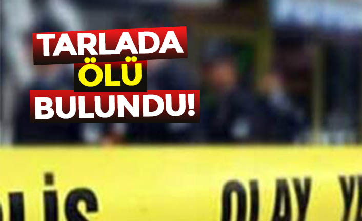 Tarlada ölü bulundu