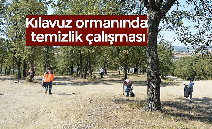 Kılavuz ormanında temizlik çalışması