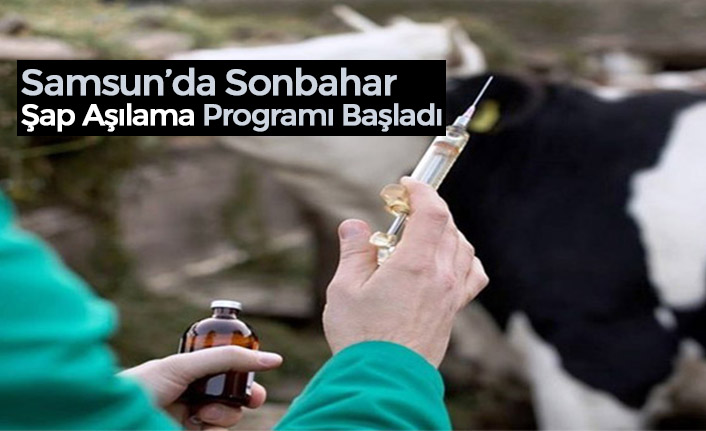 Samsun’da  Sonbahar Şap Aşılama Programı Başladı