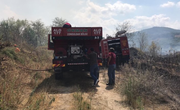 Zonguldak'ta çıkan orman yangını söndürüldü