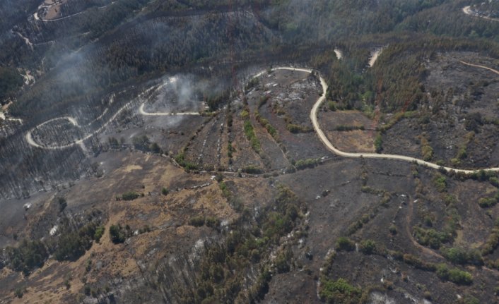 Kastamonu'daki orman yangını kontrol altına alındı