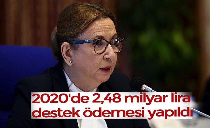 2020'de 2,48 milyar lira destek ödemesi yapıldı