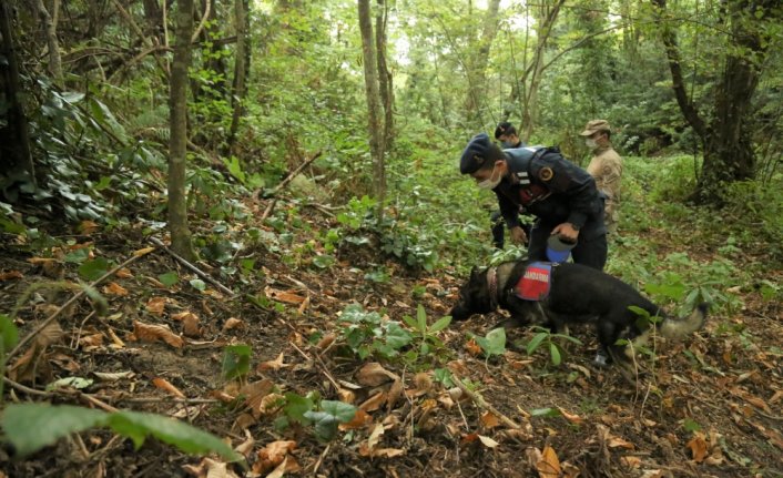 Kastamonu'da kayıp kadını arama çalışmaları sürüyor