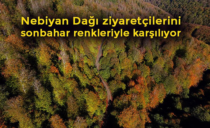 Nebiyan Dağı ziyaretçilerini sonbahar renkleriyle karşılıyor