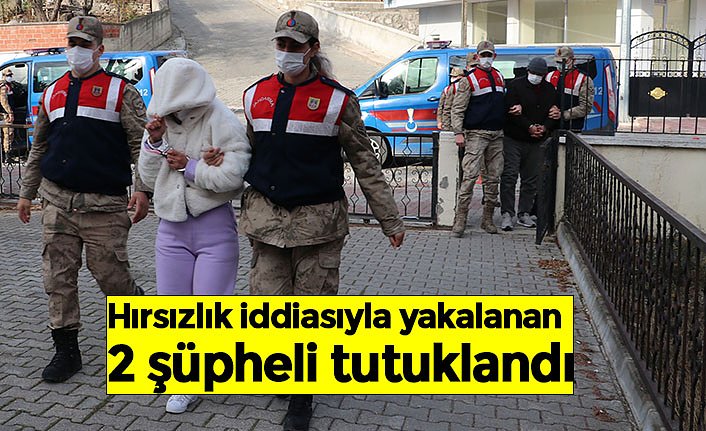 Hırsızlık iddiasıyla yakalanan 2 şüpheli tutuklandı